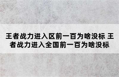 王者战力进入区前一百为啥没标 王者战力进入全国前一百为啥没标